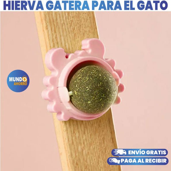 PELOTA PARA LAMER CATNIP PARA GATOS