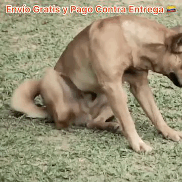 FleaZap Cepillo Rápido