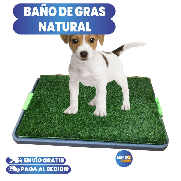 BAÑO PORTATIL PARA PERROS