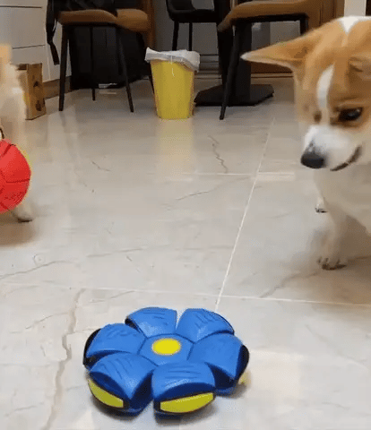 Pelota Mágica UFO Voladora para Juego