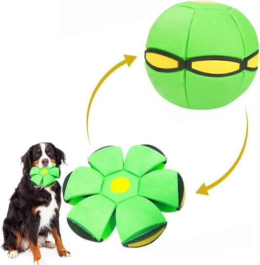 Pelota Voladora Frisbee Para Mascota